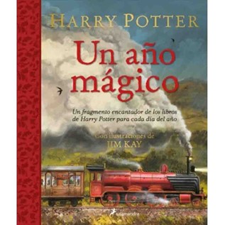 HARRY POTTER UN AÑO MAGICO (HC)